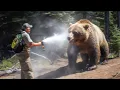 Horrifying Moments When Bear Spray DIDN T Work