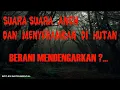 Download Lagu Suara-suara Aneh dan Menyeramkan di Hutan