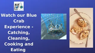 Blue Crab Catching, Cleaning & Cooking Dafusky Crab Cakes on Blue Dot Voyages PILAR – EP29