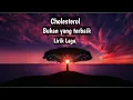Download Lagu Bukan yang terbaik - Cholesterol HD I lirik