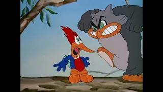 woody woodpecker 1941 001