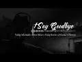 Lagu tSay Goodbye - Teddy Salendah x Wizz Baker x NZM (Hady Boven, Erlando,Damsjii)