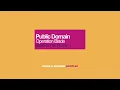 Public Domain - Operation Blade (Bass In The Place...) (Finkle & Einhorn Bootleg)