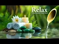 Download Lagu Soothing Piano Music + Nature Sounds 🌿 Deep Sleep, Calming Music Relieve Stress, Melatonin \u0026 Toxins