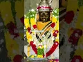 Download Lagu Muneeswara...#shorts #trending #viral #god #muniswaran full video link in comment
