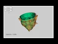 Head visualization VTK python