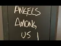 DD - Angels amongst us