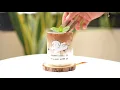 Download Lagu I love caffeine! | Homecafe Compilation