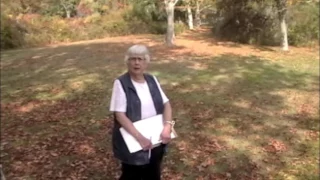 Documenting Stones in Stonington Cemetery