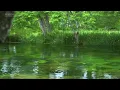 [Environmental sound / ASMR] Clear stream of fresh green Shinshu Azumino / 4 hours (healing)