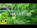 Download Lagu 【環境音・ASMR】信州安曇野の清流／川のせせらぎ音と鳥のさえずり４時間（癒し）疲れた心身の回復・リラックス効果・勉強中や作業用、目覚めの朝に、または眠れない夜にもどうぞ。（途中広告は入れていません）