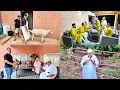 Download Lagu ذبحنا الحولي للعرسان ديالنا 👰🏻💍🤵🏻 والعائلة كاملة تجمعات 🎉🎊و الفرحة كملات🎁