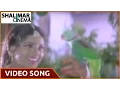 Download Lagu Pelli Sandadi Movie || Maa Perati Jamchettu Video Song || Srikanth, Ravali