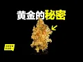 Download Lagu 瘋狂的黃金：金價再漲三倍？川普揚言黃金只漲不跌？為什麼全人類都對黃金有一種發自基因的熱愛？化學、商業、人類學，這是你投資黃金前需要了解的秘密……|自說自話的總裁