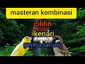 Download Lagu masteran (cililin, kenari, gereja tarung)