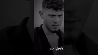 بشبوس عاشق بشة Alshamimusic 