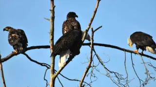 Life is Like Sailing – September Road Trip – Part 4