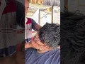 Download Lagu asmr Street Barber Head Massage with Neck Cracking !!