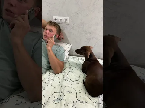 Говорю любимые слова собаки😅 Не выдержал парень.