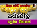 Download Lagu PATIROLL | පටිරෝල් | ලෝක විනාසේ | Patta bro