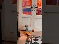 Luck of the Parisian Rat