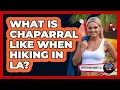 What Is Chaparral Like When Hiking In LA - Everything About LA