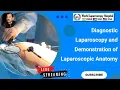 Diagnostic Laparoscopy Laparoscopic Anatomy Demonstration by Dr R K Mishra WLH