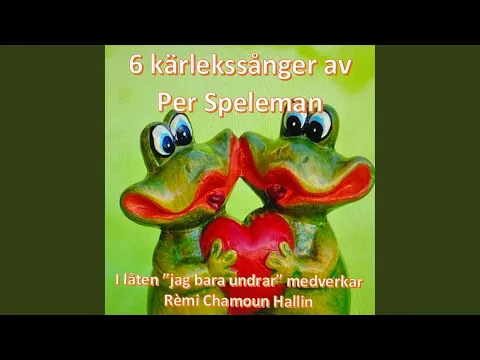 Per Speleman, bild 6