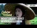 Download Lagu CAHAYA TERINDAH - Indah Terkaget kaget Mendengar Berita Ini [6 Mei 2019]