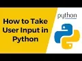 Python Tutorial 6 - How to Take User Input in Python