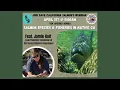 Download Lagu TEK Series Salmon Species \u0026 Fisheries