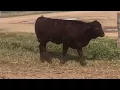 The Cattle Range Listing - 201