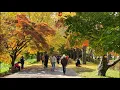 Fields of Forever - Chad Lawson (feat. Peter Gregson & Esther Yoo) // Valley of Seonunsa Temple