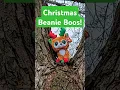 TinselToes the new reindeer Beanie Boo