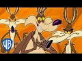 Download Lagu Looney Tunes | Wile E Coyote Genius Extraordinaire | 30 Minutes