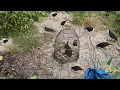 Lagu Best bird hunting method✔ Easy bird trap \u0026 Amazing Catching Technique💡Creative and Unique Bird Trap