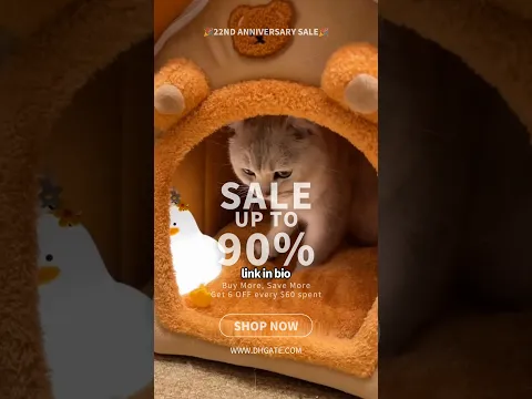 DHgate finds you didn’t know you needed