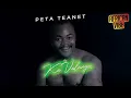 Peta Teanet - African Vibe PT 2 (Visualizer)
