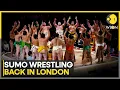 Packed Crowd as Sumo Wrestling Event Is Held at Royal Albert Hall WION Sports