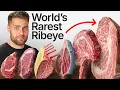 I Cooked EVERY Animal s Ribeye