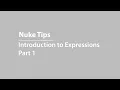 Nuke Expressions Basics pt1