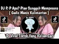 Lagu DJ GADIS MANIS KALIMANTAN FULL SONG || P. P APA? PIAN SUNGGUH MEMPESONA - SYAHRIYADI VIRAL TIKTOK