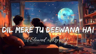 Download Dil Mere Tu Deewana Hai - Lofi || Slowed \u0026 Reverb || Love Feeling Lofi Song || MP3