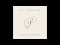Not Forgotten (feat. Cody Ray Lee)