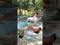 Kuk doo koo song | chicken dance fun  with baby 🐔🐔 #shorts #viral #chicken #funny #dance #cute