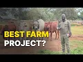 How to Choose the Best Farming Project - Avoid Wasting Time Money