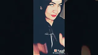 مهرجان ـ خصمي مكيفو مكتفو حلقولو مشاهير تيك توك MR MZIKA 