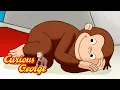 What Animal is George Curious George Kids Cartoon Kids Movies