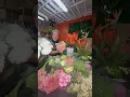 Download Lagu Hundreds of Rose Varieties, One Amazing Week