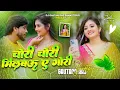 Download Lagu Aibo Tora Gauwa Ke Aari 😭 Dj Remix 2025 | Pankaj Matlabi | Milbau Chori Chori Tohra Se Gori Dj Song